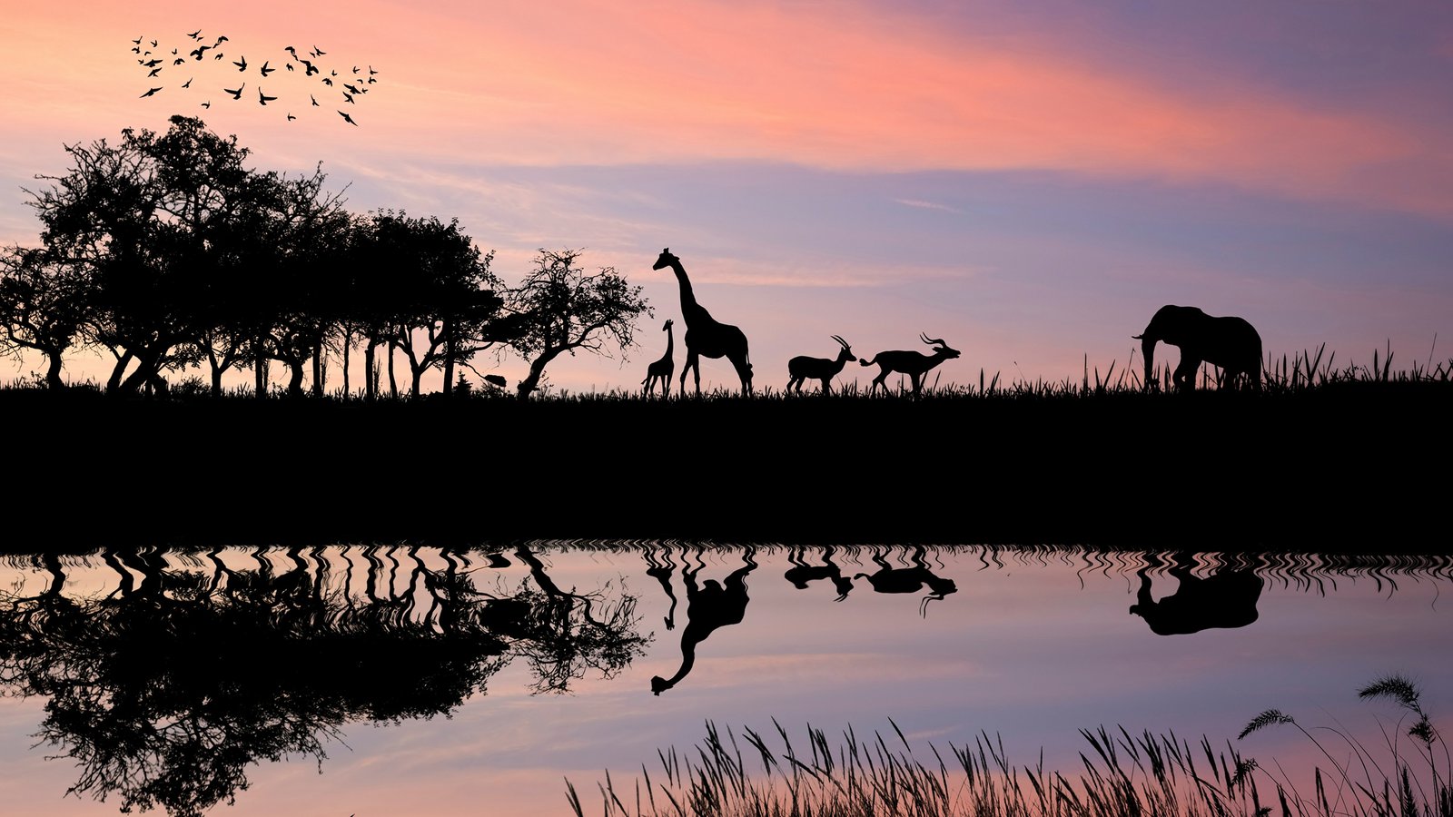 In a Safari State of Mind: From Kenya’s Maasai Mara to the Serengeti Migration