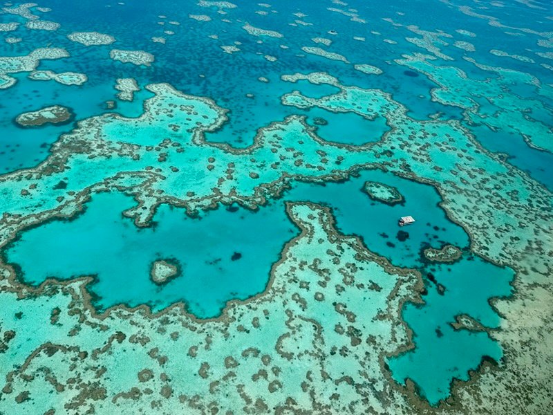 aerial shot of the Great Barrier Reef