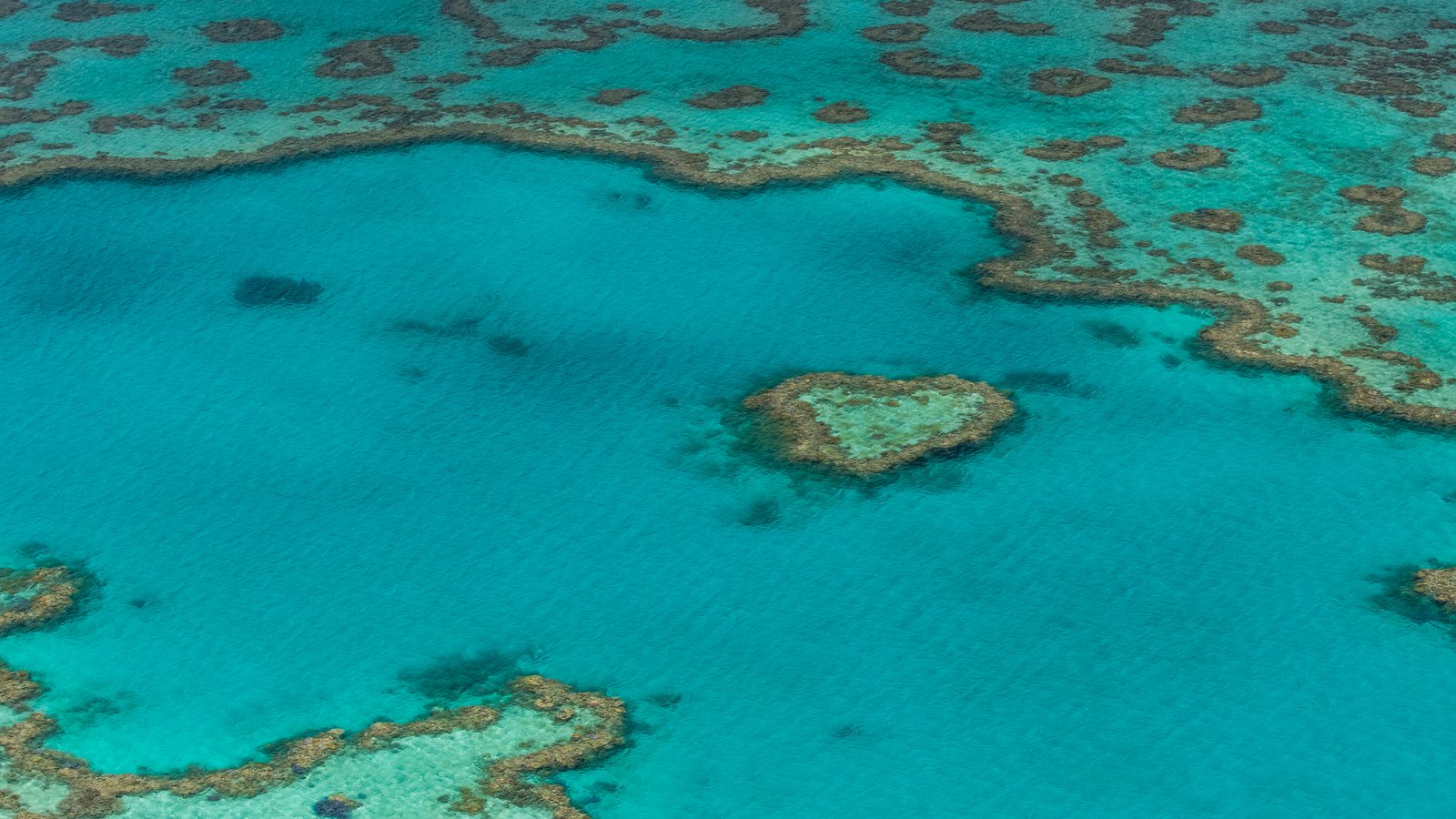 A Great Bespoke Trip to the Great Barrier Reef